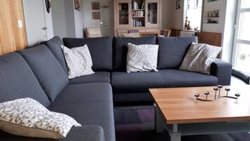 Älytelevisio, takka, kirjoja, musiikkikirjasto