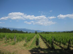 Uklassifisert bilde, 4 av 20, knapp