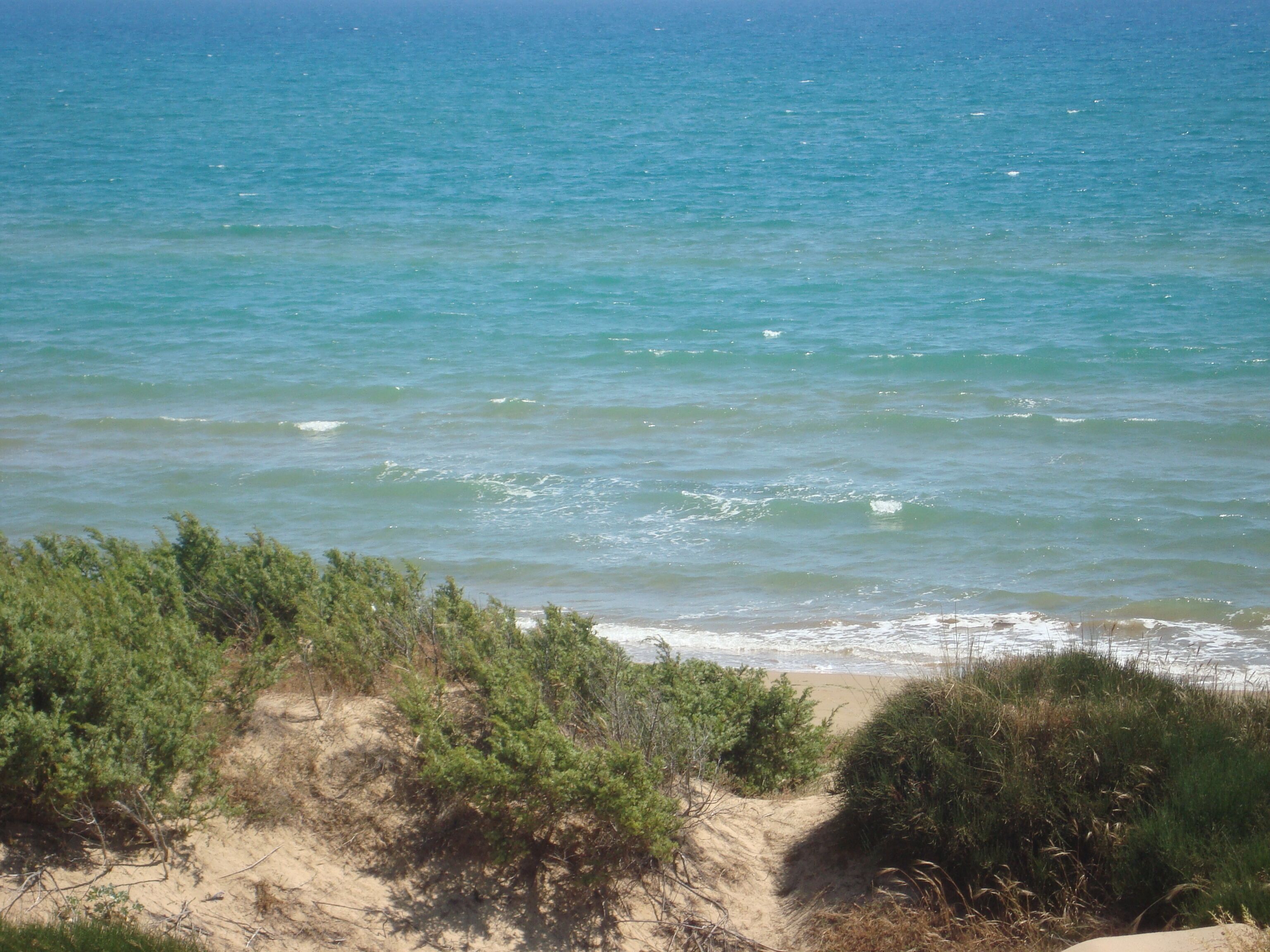 Perto da praia, espreguiçadeiras 