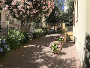 Áreas de la propiedad
