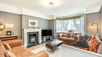 Älytelevisio, takka, videopelejä, DVD-soitin