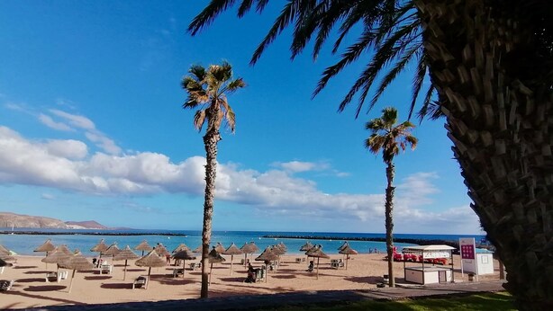 A beach with palm trees, sun loungers, and umbrellas. - Moon Holiday Home in Los Cristianos (Los Cristianos)