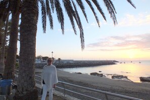 Escena de playa con una persona de pie cerca de una palmera, costa rocosa y barcos en el agua.