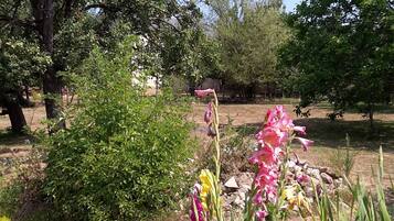 Área da propriedade