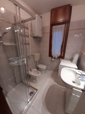 Shower, hair dryer, bidet, towels