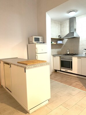 Fridge, microwave, oven, stovetop - Huge Family Apt With Patio: Central Barcelona (Barcelona)