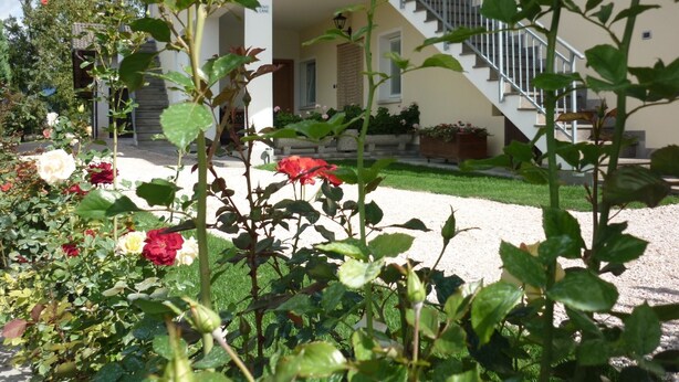 Un edificio con una escalera que lleva a un segundo piso, rodeado de un jardín con rosas.