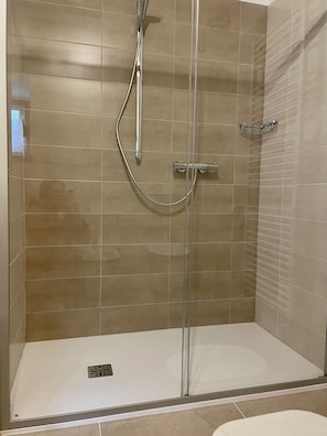 Shower, hair dryer, bidet, towels