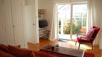 TV, DVD player, books, video library