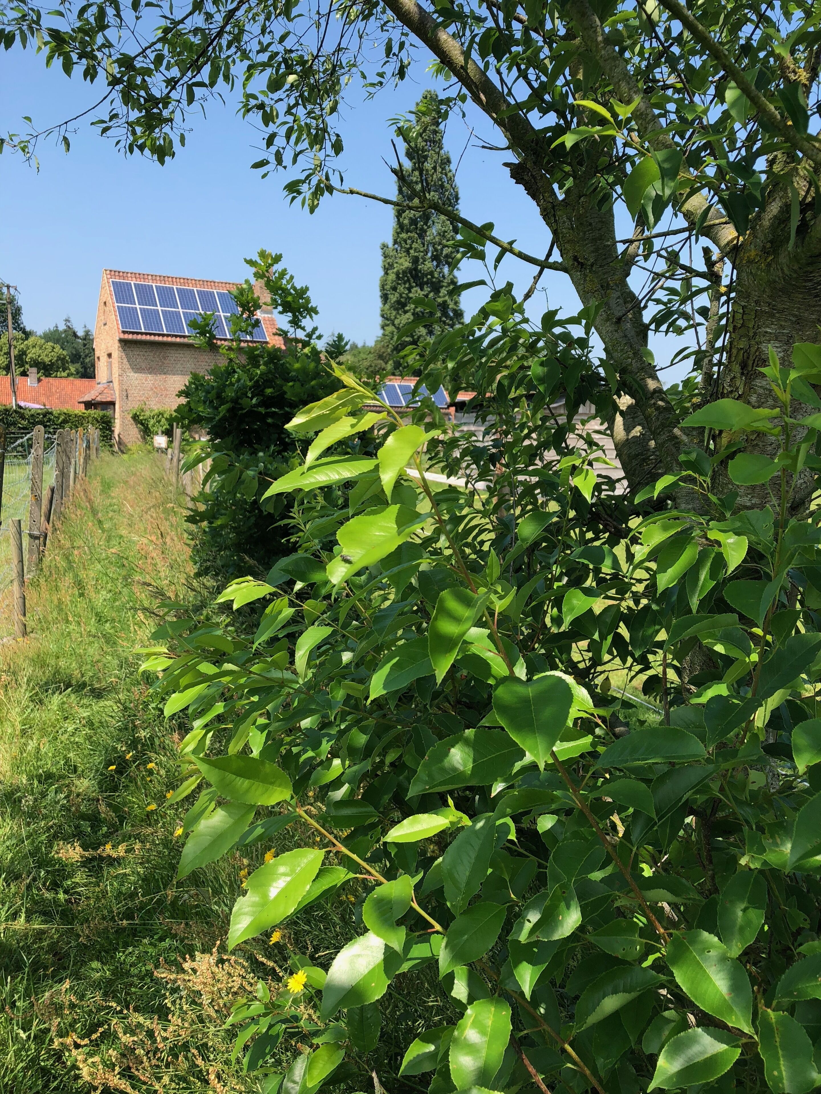Uma casa com fachada de tijolos e painéis solares no telhado.