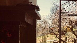 Une pièce avec une cheminée, une grande fenêtre et une vue sur un jardin.