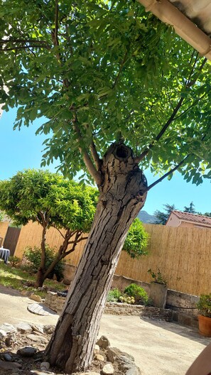Property grounds - VILLA LE MAS ARDO - ALL COMFORTS FENCED GARDEN - 700M BEACHES - PYRENEES ORIENTALES (Collioure)