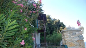 Un camino de piedra que conduce a un edificio con una pérgola de madera y plantas de flores rosadas.