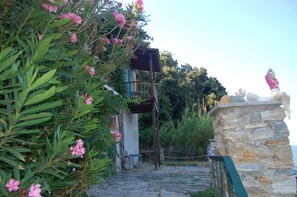 Property grounds - HOLIDAYS LIKE OLD GOOD TIMES (VOLOS)