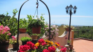 Una terraza con plantas en macetas y flores, un arco de metal y un farol.
