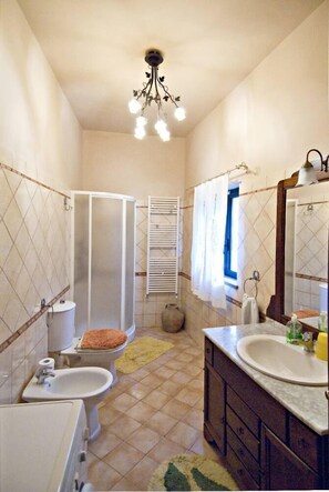 Regadera, secadora de cabello, bidet, toallas
