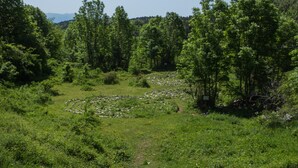 Een natuurlijk landschap met een stenen doolhof in een grasveld, omgeven door bomen.