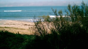 Una playa con olas, una orilla arenosa y algo de vegetación al frente.