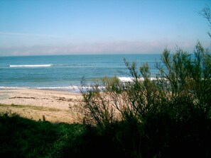 بالقرب من الشاطئ