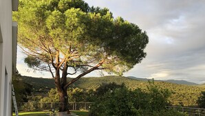 Un patio con un árbol grande, un muro blanco y vistas a un paisaje montañoso.