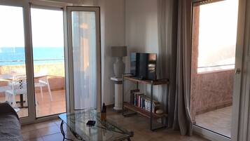 TV, DVD player, books, music library