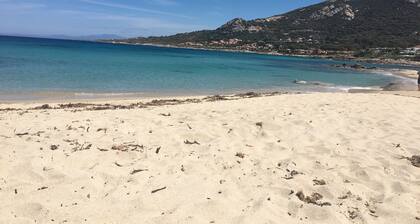 Appartement climatisé tout confort, pieds dans l'eau, criques et plages de sable