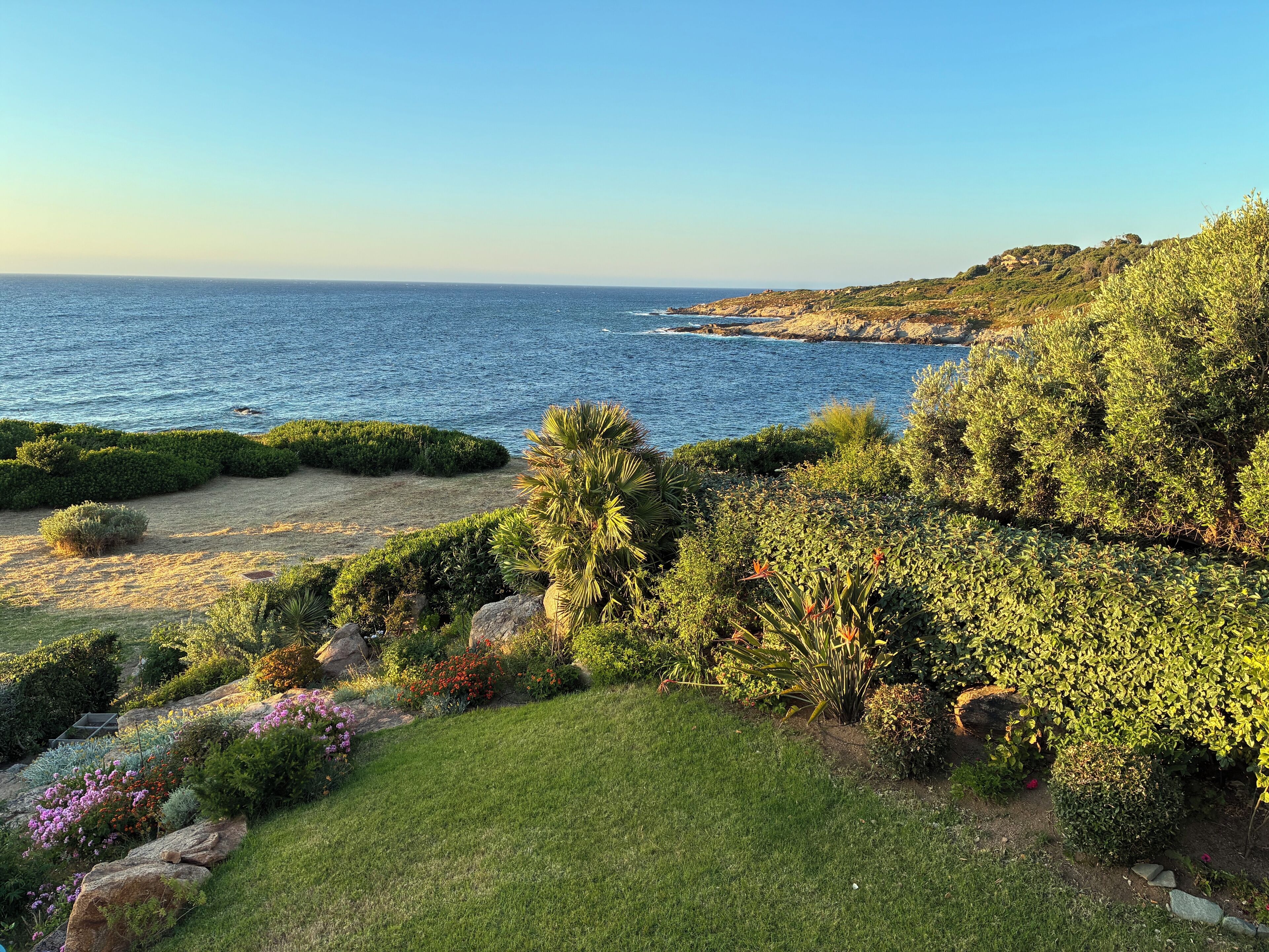 A coastal landscape with a grassy area, shrubs, and a view of the sea.