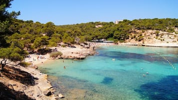 Una spiaggia nelle vicinanze