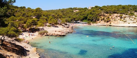 Una spiaggia nelle vicinanze