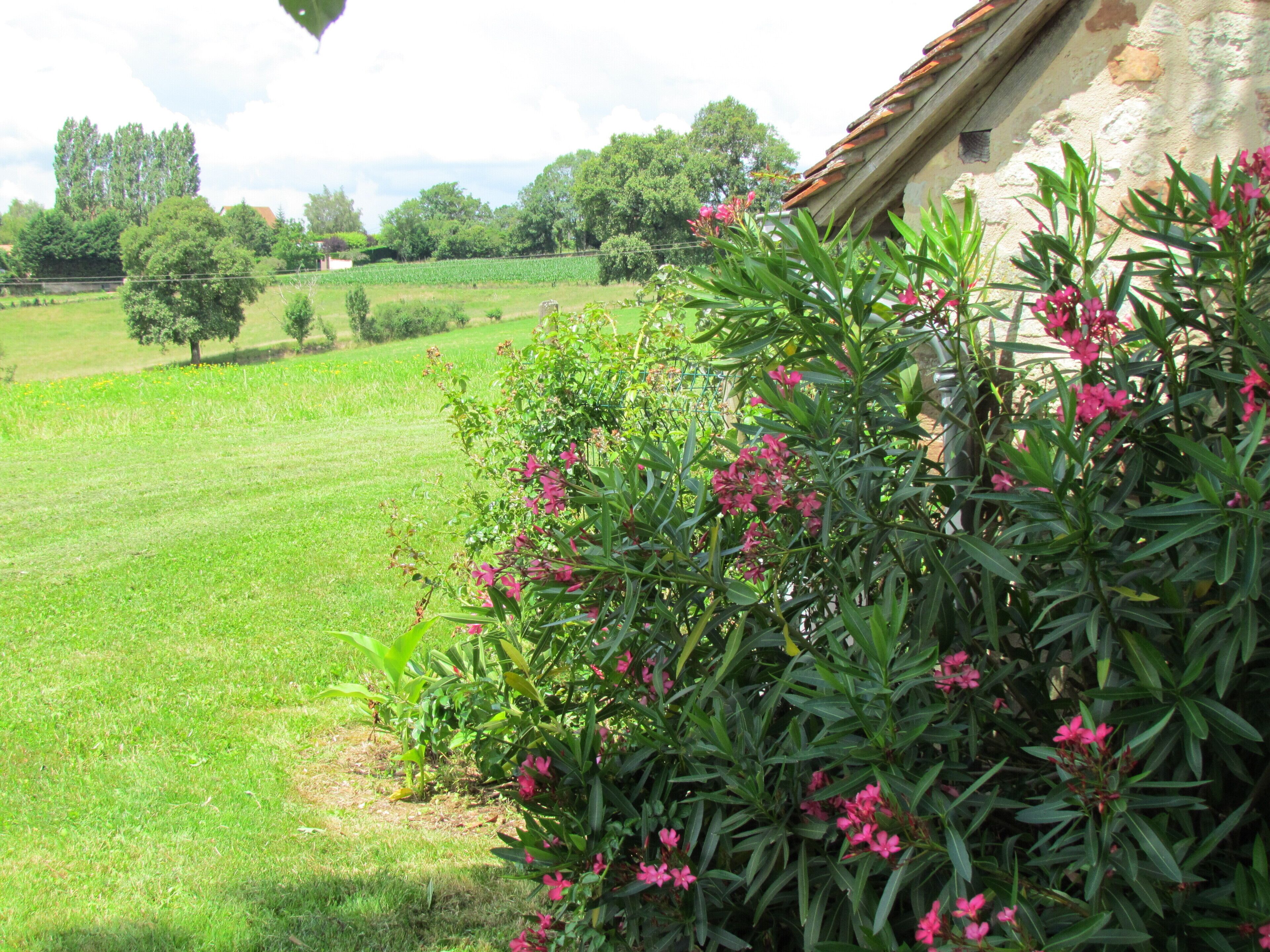 Un champ verdoyant et luxuriant, avec un bâtiment en pierre et des plantes en fleurs.