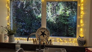 Un comptoir de cuisine avec un évier, une plante en pot, un flacon de savon liquide et un panneau décoratif.