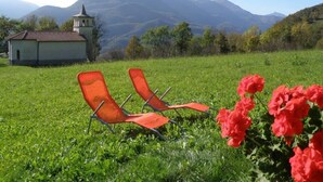 A grassy field with two orange chairs and red flowers, a small building with a red roof, and mountains in the background.