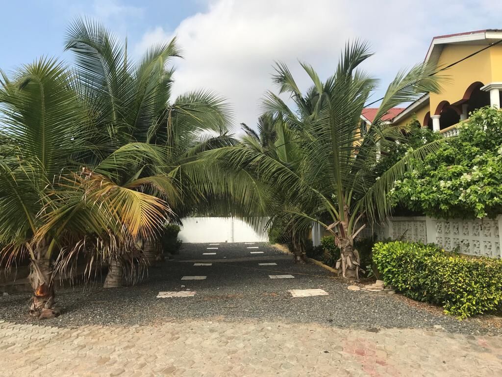 A paved pathway lined with palm trees leading to a building with a red roof.