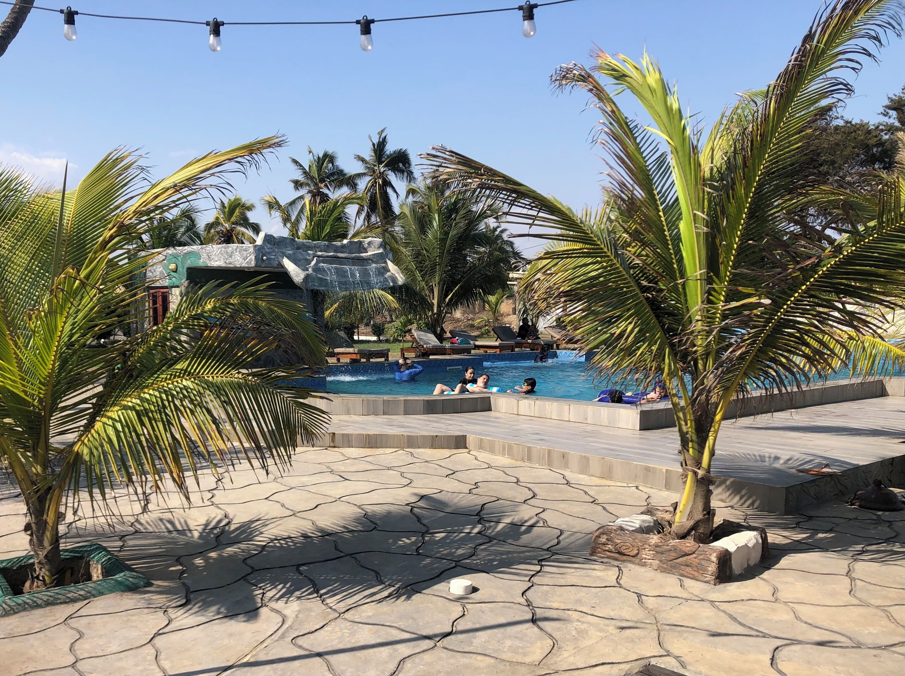 A pool area with a waterfall feature, palm trees, and lounge chairs.
