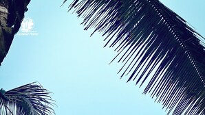 A beach with people, umbrellas, and lounge chairs. - Coconut Pointe Villa & Beach Resort (Prampram)