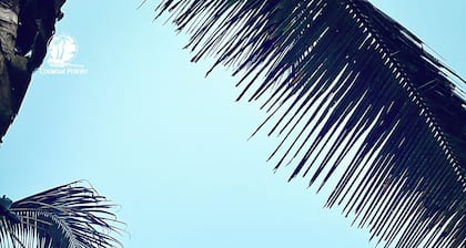 Coconut Pointe Villa & Beach Resort