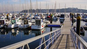 Un puerto deportivo con numerosos barcos amarrados a lo largo de un muelle de madera.