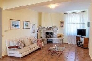 TV connectée, cheminée, lecteur de DVD, livres