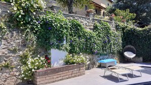 Mural de pedra com plantas trepadoras e flores, piscina com espreguiçadeiras e vista ampla da paisagem ao redor.