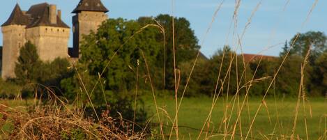 A castle with a tower, surrounded by greenery and tall grasses.