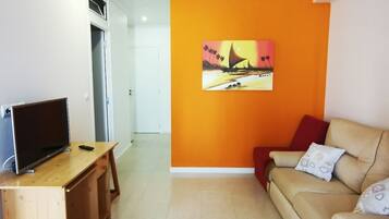 Televisie, een dvd-speler en boeken