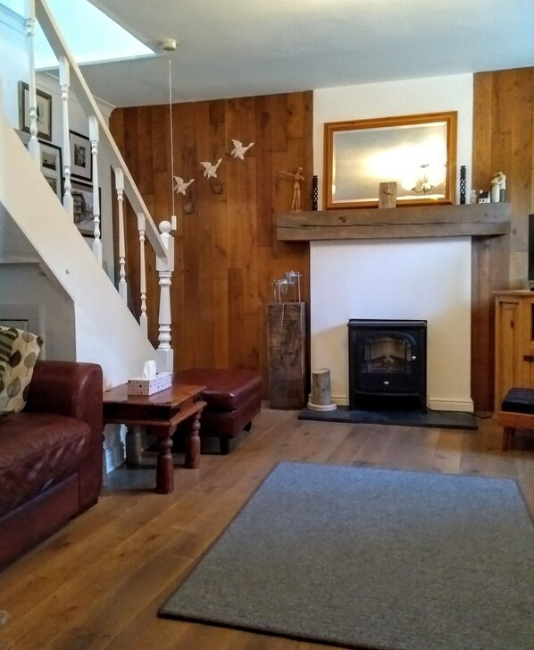 تلفزيون، مدفأة، مشغل دي في دي، كُتُب