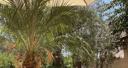 House in the Historic Center of Noto with private garden