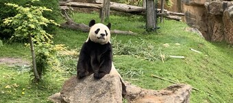 chateau de la Loire beauval zoo villa 8 + 2 personer privat oppvarmet basseng 