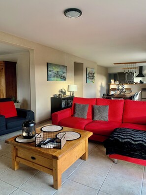 TV, fireplace, DVD player, books