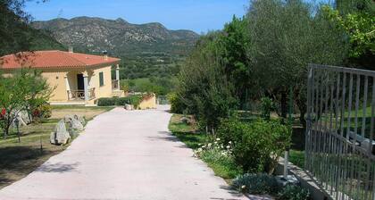 Vacation Home San Teodoro