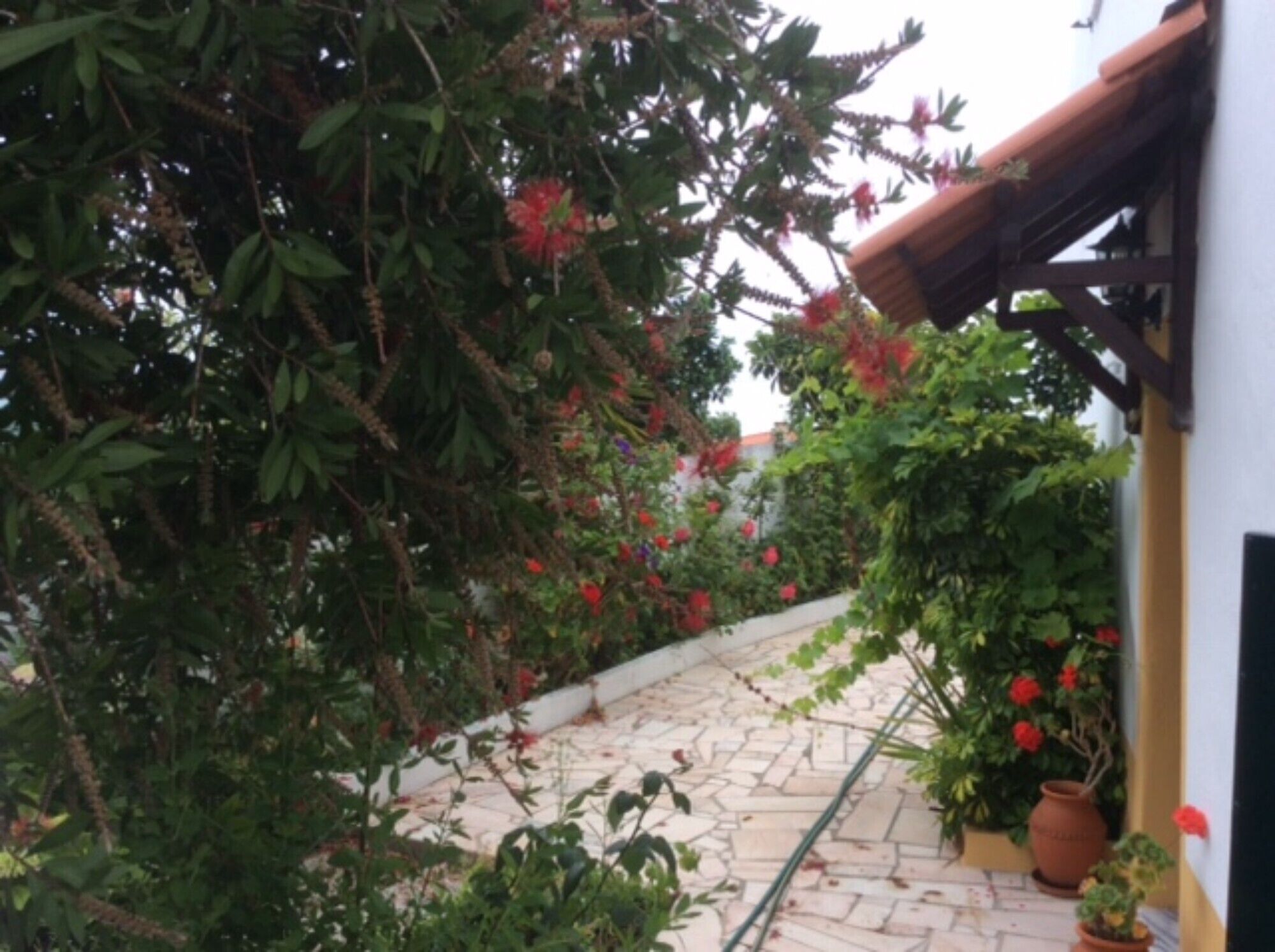 Terrain de l’hébergement 