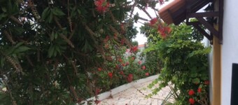 Moradia das Rosas, 2.5 kms from Areia Branca beach.