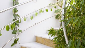 A staircase with white steps and a metal handrail, surrounded by green plants and white flowers. - Luxury Penthouse in Conil de la Frontera - Breathtaking Sea views. (Conil de la Frontera)
