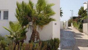 A modern building with a white facade, a narrow pathway, and a palm tree in the foreground. - Luxury Penthouse in Conil de la Frontera - Breathtaking Sea views. (Conil de la Frontera)